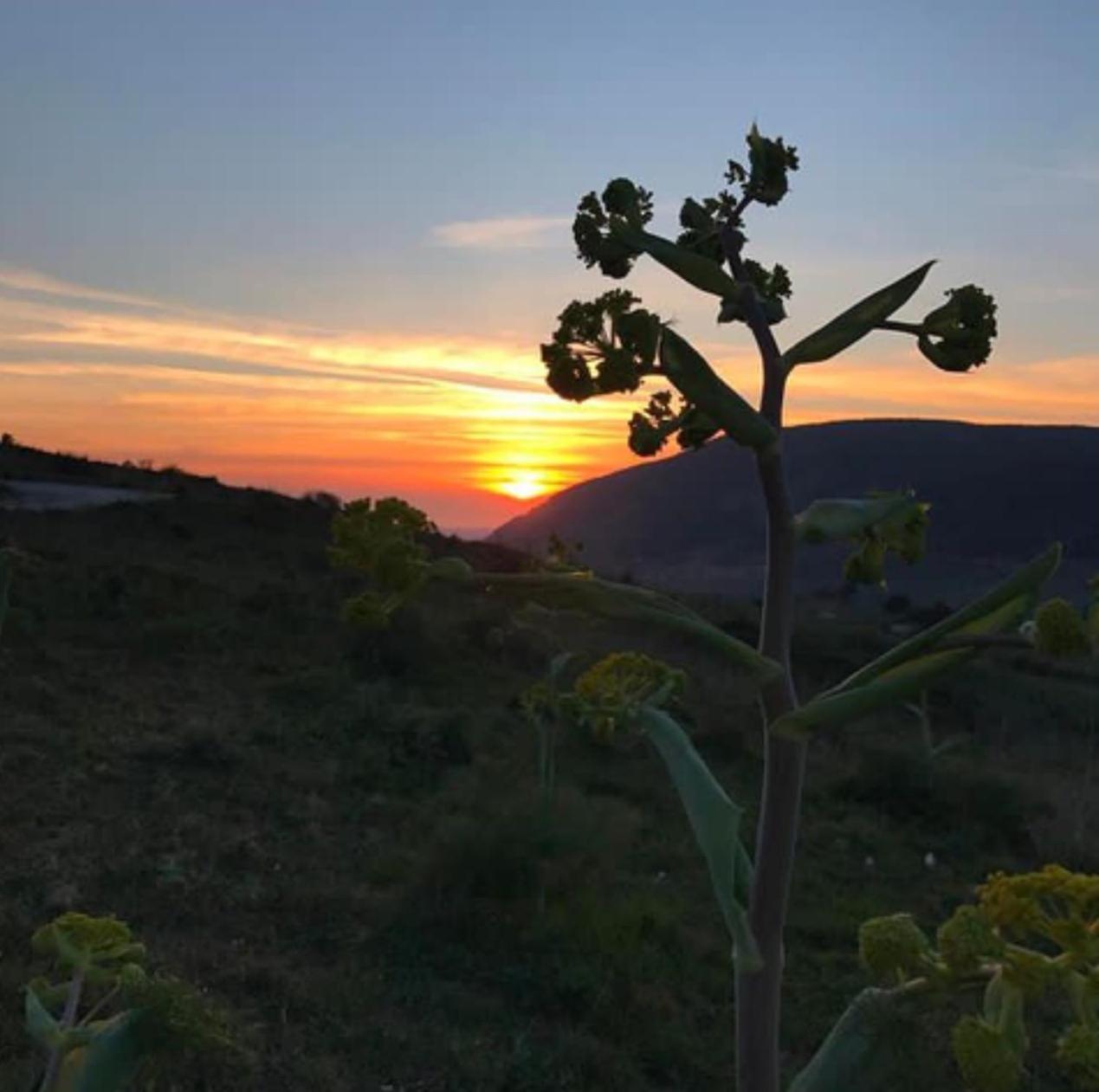Vita In Sicilia Da Ciro B&B 외부 사진